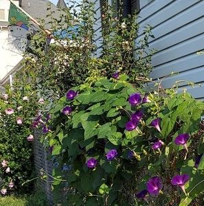 Meet your Posher, Ruth